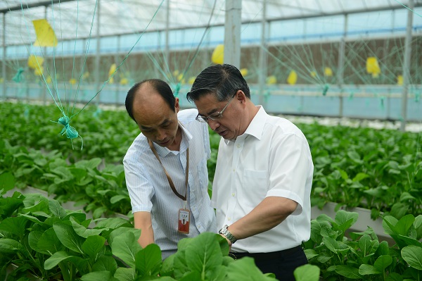 中國華融赴四川省宣漢縣調研督導定點幫扶工作